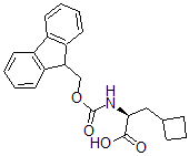 CAS 登录号：478183-62-9， (alphaS)-alpha-[[(9H-芴-9-基甲氧基)羰基]氨基]-环丁烷丙酸