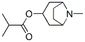 CAS#: 495-80-7, Tropine Isobutyrate