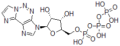 CAS 登录号：50663-89-3， 氮杂-epsilon-三磷酸腺苷