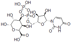 CAS#: 50722-58-2, Udp-Galacturonic Acid
