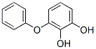 CAS#: 52995-00-3, 3-Phenoxy-1,2-Benzenediol