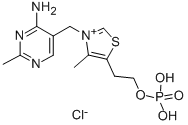 CAS#: 532-40-1, Thiamine Monophosphate Chloride