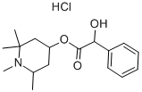 CAS#: 536-93-6, Eucatropine Hydrochloride