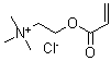CAS 登录号:54076-97-0, N,N,N-三甲基-2-(1-氧代-2-丙烯基)氧基-乙烷氯化铵均聚物