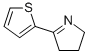 CAS#: 5424-42-0, 5-(2-Thienyl)-3,4-Dihydro-2H-Pyrrole