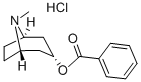 CAS#: 55623-27-3, Endo-Tropacocaine (8-Methyl-8-Azabicyclo[3.2.1]Oct-3-Yl) Benzoate Hydrochloride