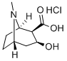 CAS 登录号：5796-31-6， 芽子碱盐酸盐