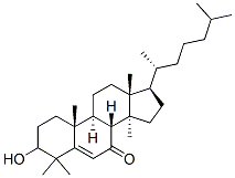 CAS 登录号:58262-43-4, 7-氧代-24,25-二氢羊毛固醇