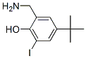 CAS#: 58456-91-0, 2-Aminomethyl-4-Tert-Butyl-6-Iodophenol
