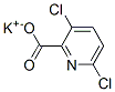 CAS#: 58509-83-4, Potassium 3,6-Dichloropyridine-2-Carboxylate