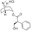 CAS 登录号:5934-50-9, 莨菪碱盐酸盐