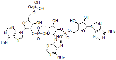 CAS 登录号：61172-40-5， 2',5'-寡聚腺苷酸