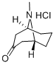 CAS 登录号：6164-62-1， 伪石榴皮碱盐酸盐