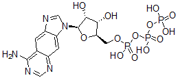 CAS 登录号:61925-58-4, 苯并腺苷三磷酸酯