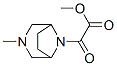 CAS#: 63990-34-1, 8-(2-Methoxy-1,2-Dioxoethyl)-3-Methyl-3,8-Diazabicyclo[3.2.1]Octane