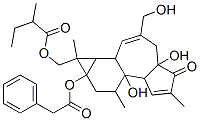 CAS#: 64854-98-4, Benzeneacetic Acid 1,1a,1b,4,4a,5,7a,7b,8,9-Decahydro-4a,7b-Dihydroxy-3-(Hydroxymethyl)-1,6,8-Trimethyl-1-[(2-Methyl-1-Oxobutoxy)Methyl]-5-Oxo-9aH-Cyclopropa[3,4]Benz[1,2-e]Azulen-9alpha-Yl Ester
