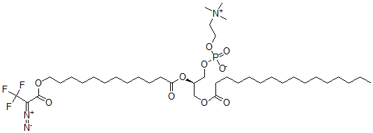CAS 登录号:65114-55-8, 1-棕榈酰-2-omega-(2-重氮基-3,3,3-三氟丙酰氧基)月桂酰-Sn-甘油-3-磷酰胆碱