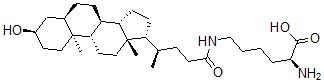 CAS 登录号:65236-49-9, N-epsilon-石胆酰赖氨酸