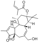 CAS 登录号:65700-60-9, 12-脱氧佛波醇-13-当归酸酯