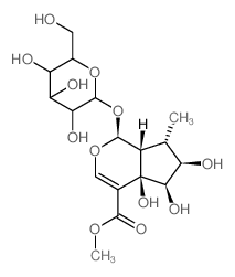 CAS#: 67244-49-9, Pulchelloside I