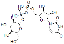 CAS 登录号:67341-43-9, 尿苷-2-脱氧-2-氟-D-葡萄糖二磷酸酯