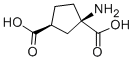 CAS#: 67684-64-4, (+/-)-1-Aminocyclopentane-trans-1,3-Dicarboxylic Acid