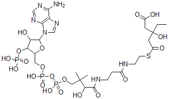 CAS#: 69925-08-2, 3-Hydroxy-3-Ethylglutaryl-Coenzyme A