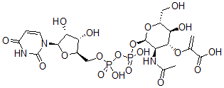 CAS 登录号:70222-94-5, 尿苷二磷酰-N-乙酰基葡萄糖胺烯醇丙酮酸