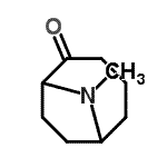 CAS 登录号：70423-78-8， 9-甲基-9-氮杂双环[4.2.1]壬烷-2-酮