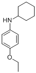 CAS 登录号：721-91-5， N-环己基-4-乙氧基苯胺