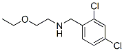 CAS#: 73728-64-0, N-[(2,4-Dichlorophenyl)Methyl]-2-Ethoxyethanamine