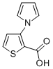 CAS#: 74772-17-1, 3-(1H-Pyrrol-1-Yl)Thiophene-2-Carboxylic Acid