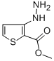 CAS 登录号：75681-13-9， 3-肼基噻吩-2-羧酸甲酯