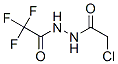 CAS 登录号：762240-99-3， 1-(氯乙酰基)-2-(三氟乙酰基)肼