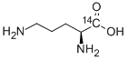 CAS#: 77882-82-7, L-Ornithine, [1-14 C]