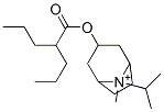 CAS 登录号：79467-19-9， [(1R,5S)-8-甲基-8-丙-2-基-8-铵双环[3.2.1]辛烷-3-基]2-丙基戊酸酯溴化物