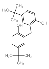 CAS 登录号:799-13-3, 4-叔丁基-2-(5-叔-丁基-2-羟基-苄基)苯酚