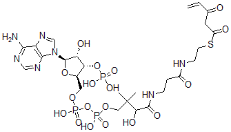 CAS#: 80724-14-7, 3-Keto-4-Pentenoyl-Coenzyme A