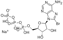CAS 登录号：81035-56-5， 8-溴-腺苷-5'-三磷酸酯钠盐