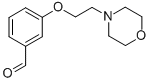 CAS#: 81068-26-0, 3-(2-Morpholin-4-Ylethoxy)Benzaldehyde