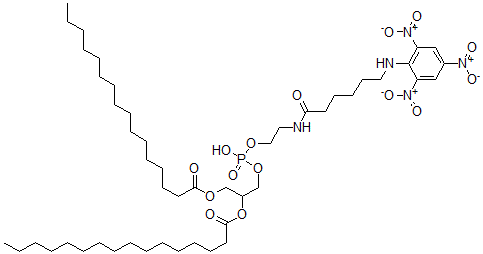 CAS 登录号:81497-26-9, N-(2,4,6-三硝基苯基-6-N-氨基己酰)-1,2-二棕榈酰磷脂酰乙醇胺