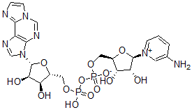 CAS 登录号:82773-63-5, 3-氨基吡啶1,N(6)-乙烯桥腺嘌呤二核苷酸