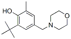 CAS#: 84824-97-5, 6-Tert-Butyl-4-(Morpholinomethyl)-o-Cresol