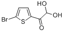 CAS#: 852619-28-4, 5-Bromo-2-Thiopheneglyoxal Hydrate