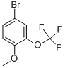 CAS 登录号：853771-88-7， 4-溴-2-(三氟甲氧基)苯甲醚