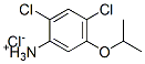 CAS#: 85554-76-3, 2,4-Dichloro-5-Isopropoxyanilinium Chloride