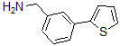 CAS 登录号：859850-86-5， 3-(2-噻吩基)-苯甲胺
