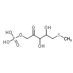 CAS 登录号：86316-83-8， 5-S-甲基-1-O-膦酰-5-硫代戊-2-纤维骨架