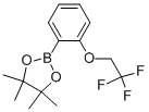 CAS 登录号：864754-11-0， 4,4,5,5-四甲基-2-[2-(2,2,2-三氟-乙氧基)-苯基]-[1,3,2]二氧硼戊环
