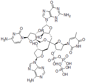 CAS 登录号:91126-91-9, 脱氧-(腺苷酰-鸟苷酰-胞苷酰-胸苷)